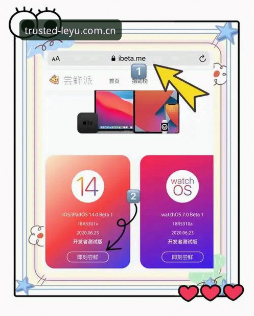 乐鱼体育平台新手入门：iOS版下载安装与使用完整指南